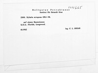 Image Associated With the Occurence